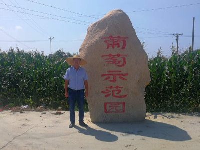 M6平台:【盈拓展览】2025年法国蒙彼利埃葡萄酒酿造技能及设备展敬请期待